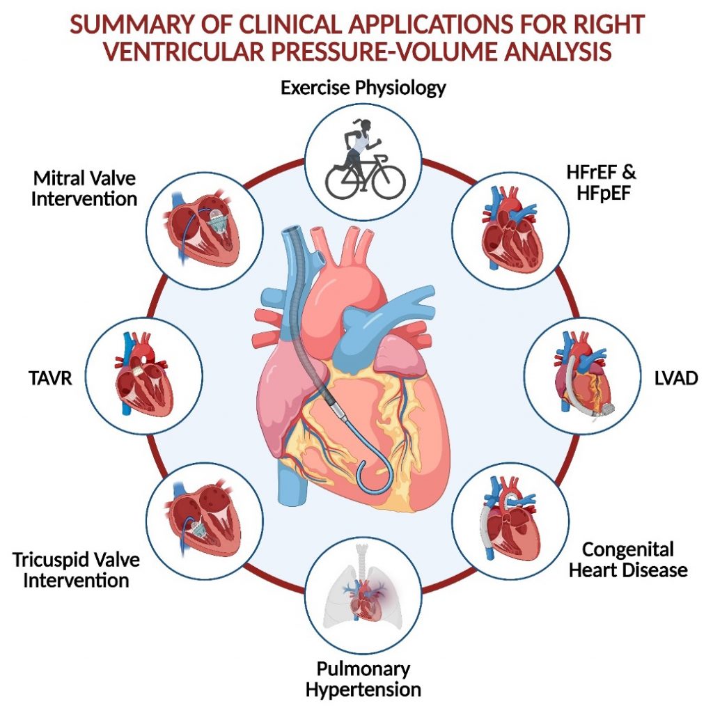 Summary of clinical applications for right ventricular pressure-volume (PV) analysis